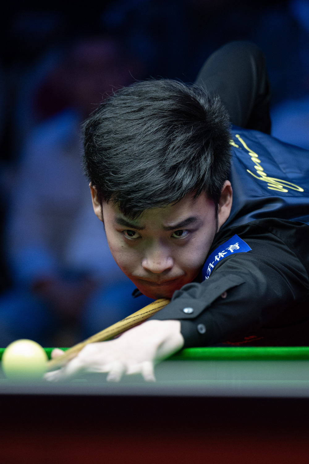 的是来自欧 的是来自欧